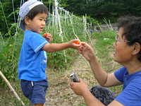 ΂HׂĂ݂,g}gl̐Hׂ.