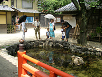 ̒r悭㌀Ŏg܂?Fӂ肭eq΂ČĂ܂.