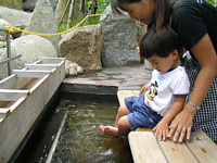 ̌.̂ł܂肠肪݂͊ȂǁAył.