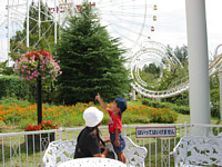 XN[R[X^[ꂢɌ|WVŃjRjR.