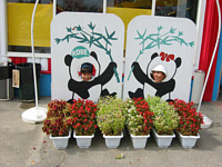 王子動物園のマスコットのパンダちゃんになってハイポーズ.ちょっと変な顔してるでしょ?