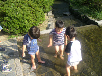 いつもつるんでる昼寝無し3人組.3人はうまが合うので一緒にいると楽しすぎて終わりがありません...