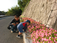 お花の匂いをかいでるんだよ食べてるんじゃないよ!僕って結構ロマンチスト?