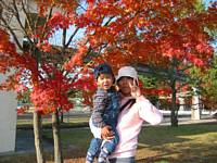 紅葉も一番ベストな時期でした♪