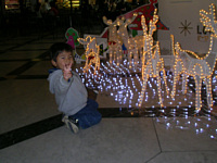 FȏɃNX}X̏t邩,͊X̂yˁ