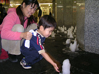 ɗƂǂȂɊĂVтĎ~܂܂.