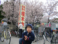 ͍炫n߂ĂĂꂢ.ԌԌ