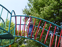 AX`bNŋ߂͂̕.撣ĂłH