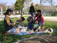 ̉,Fł͊y.킢킢ȂHׂ.