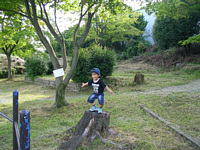 ٓLȂNȂ󂫒n,ςȃ|[Y肭.